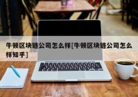 牛顿区块链公司怎么样[牛顿区块链公司怎么样知乎]